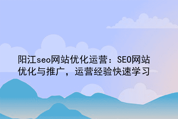 阳江seo网站优化运营：SEO网站优化与推广，运营经验快速学习