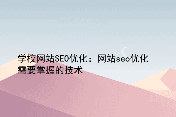 学校网站SEO优化：网站seo优化需要掌握的技术