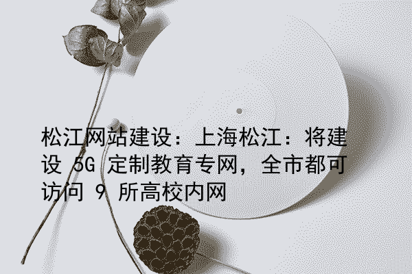 松江网站建设：上海松江：将建设 5G 定制教育专网，全市都可访问 9 所高校内网