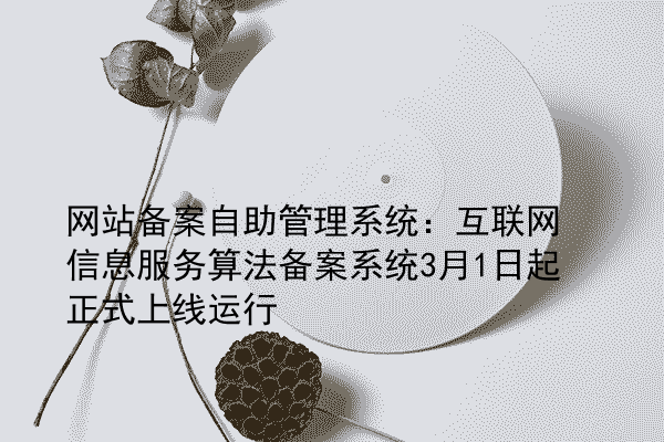 网站备案自助管理系统：互联网信息服务算法备案系统3月1日起正式上线运行