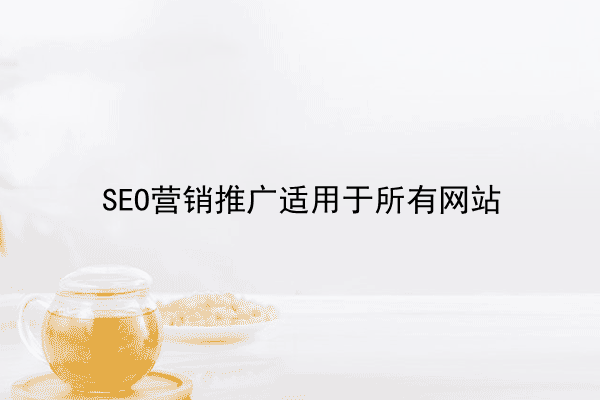 SEO营销推广适用于所有网站