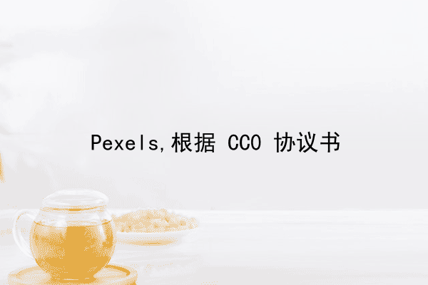 Pexels,根据 CC0 协议书