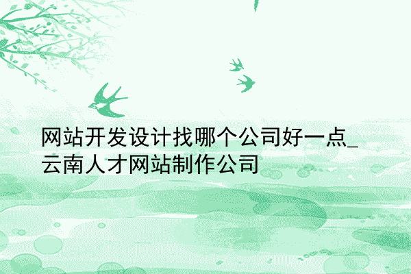 网站开发设计找哪个公司好一点_云南人才网站制作公司