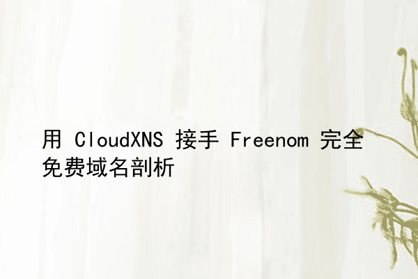 用 CloudXNS 接手 Freenom 完全免费域名剖析