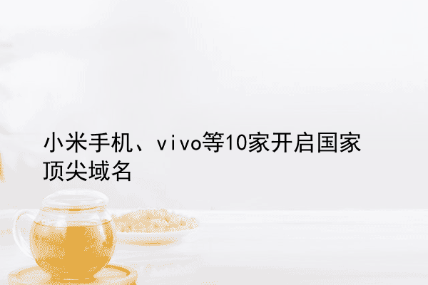 小米手机、vivo等10家开启国家顶尖域名