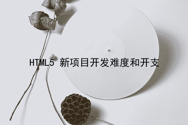 HTML5 新项目开发难度和开支
