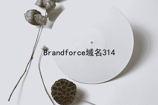 Brandforce域名314