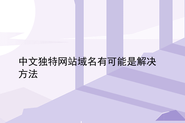 中文独特网站域名有可能是解决方法