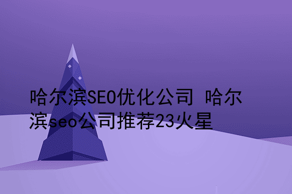 哈尔滨SEO优化公司 哈尔滨seo公司推荐23火星