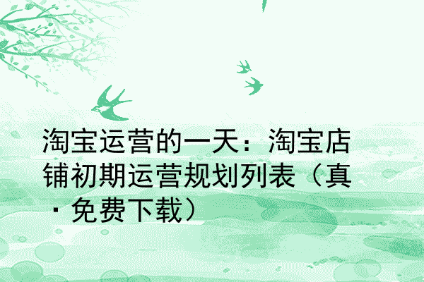 淘宝运营的一天：淘宝店铺初期运营规划列表（真·免费下载）