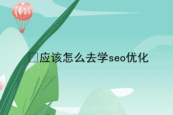 ​应该怎么去学seo优化